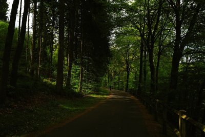 Je huisarts schrijft steeds vaker een wandeling voor